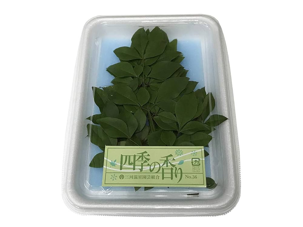 Amazon.co.jp: 緑南天 タテ （縦詰め） 10枚入り 飾り葉 : 食品