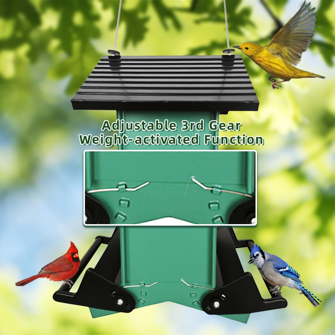 Comedero para pájaros a prueba de ardillas, comederos de pájaros para exteriores con perchas activadas por peso, a prueba de masticaciones, gran capacidad de 5 libras, comederos de metal para