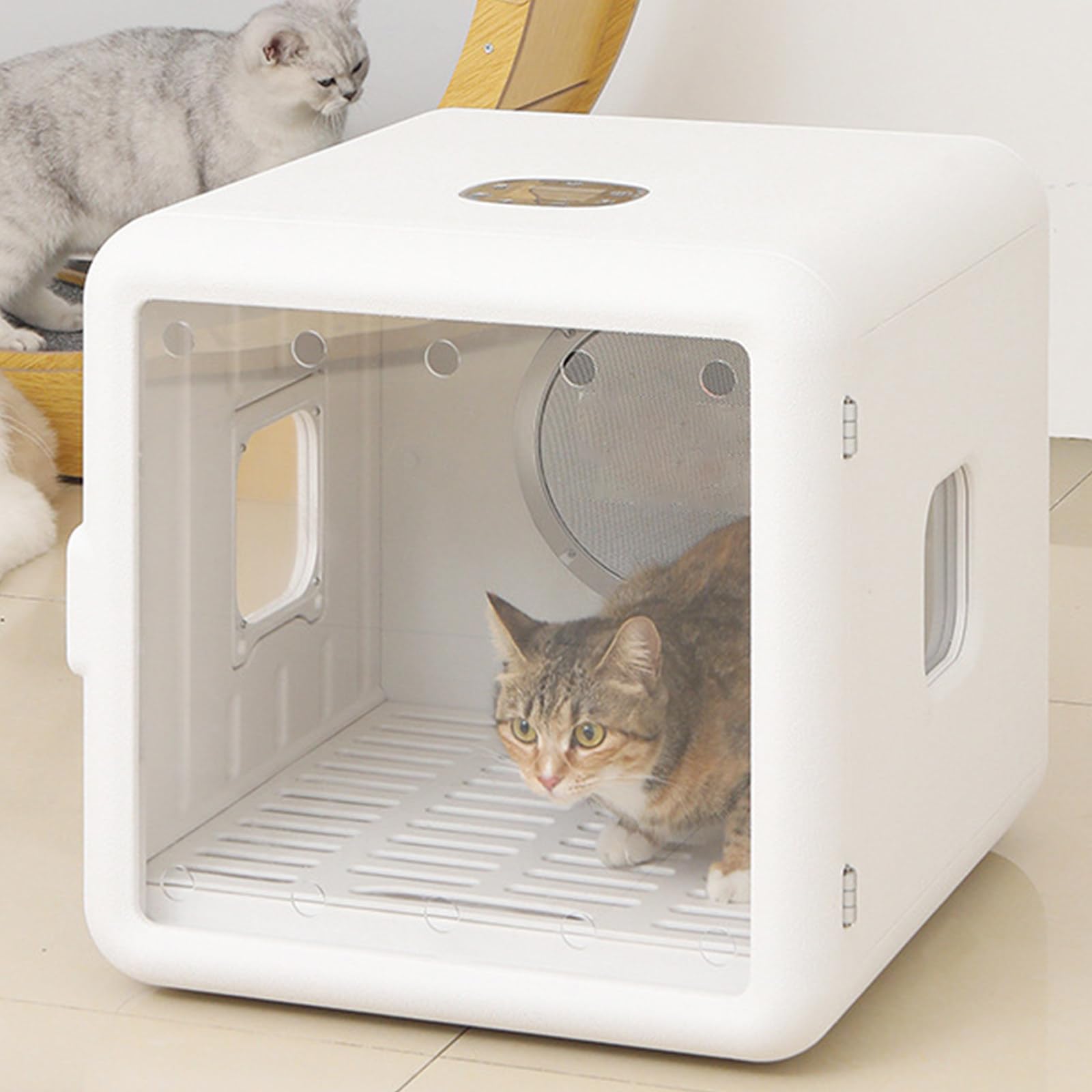 Caja secadora automática para mascotas de 65 L, ultra silenciosa, 360 grados, para gatos y perros pequeños, temperatura y tiempo ajustables, 1200 W, 220 V