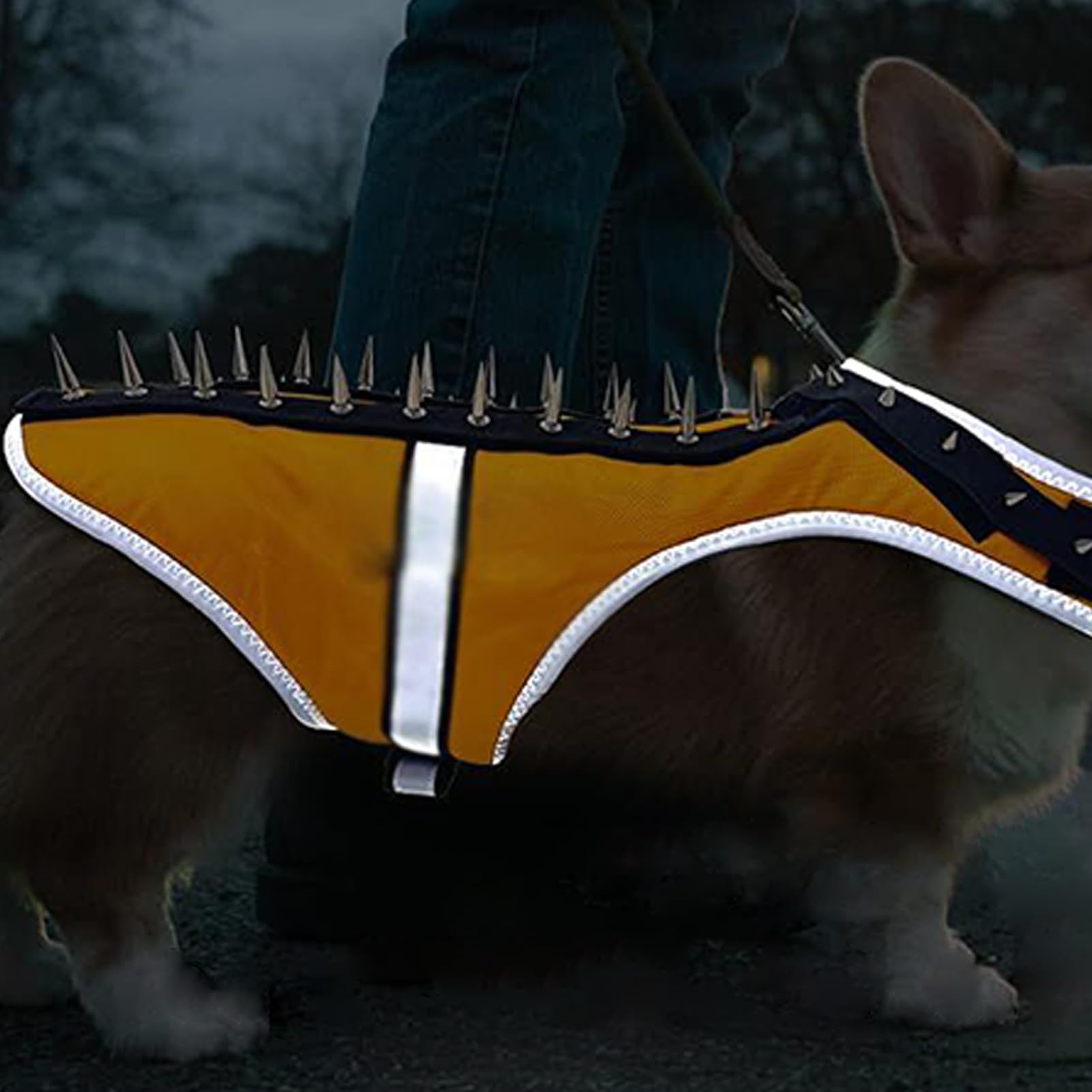 Chaleco Coyote Arnés Protector Ajustable Con Púas Contra Rapaces | Arnés De Protección Reflectante Para Cachorros para Protección de Mascotas Contra Ataques de las Aves Rapaces Durante la