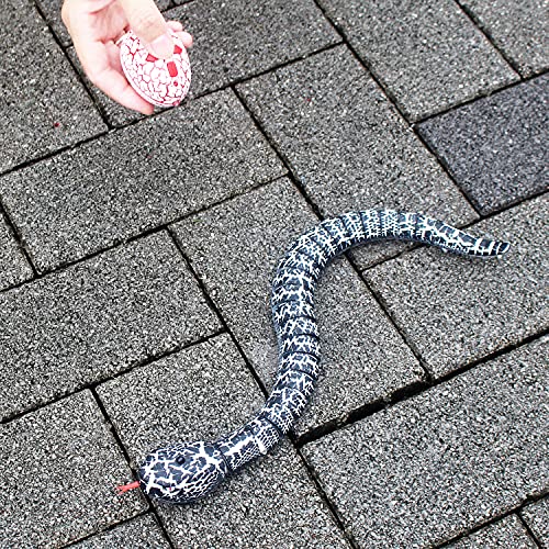 Serpent télécommandé pour surmonter l'ennui des enfants à la maison