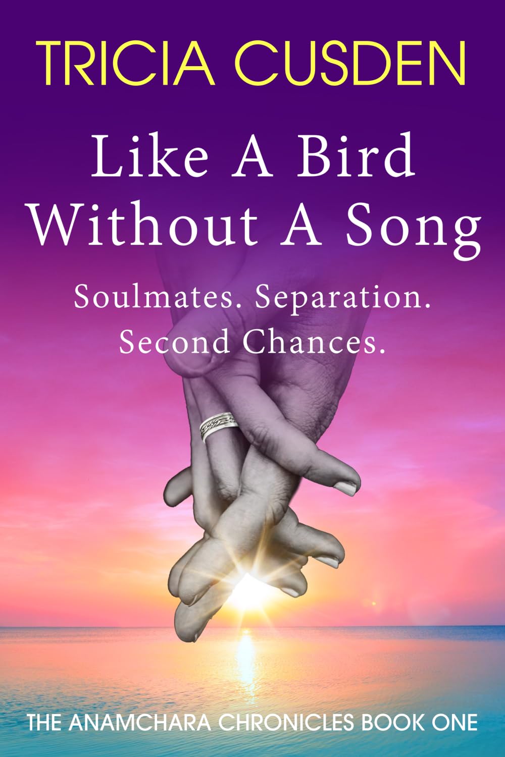Like A Bird Without A Song: Soulmates. Separation. Second Chances.