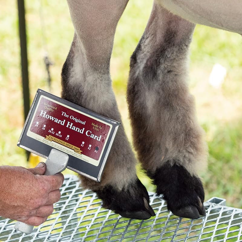 Premier 1 Supplies Howard Hand Card for Wool & Livestock (#3 - Fine)