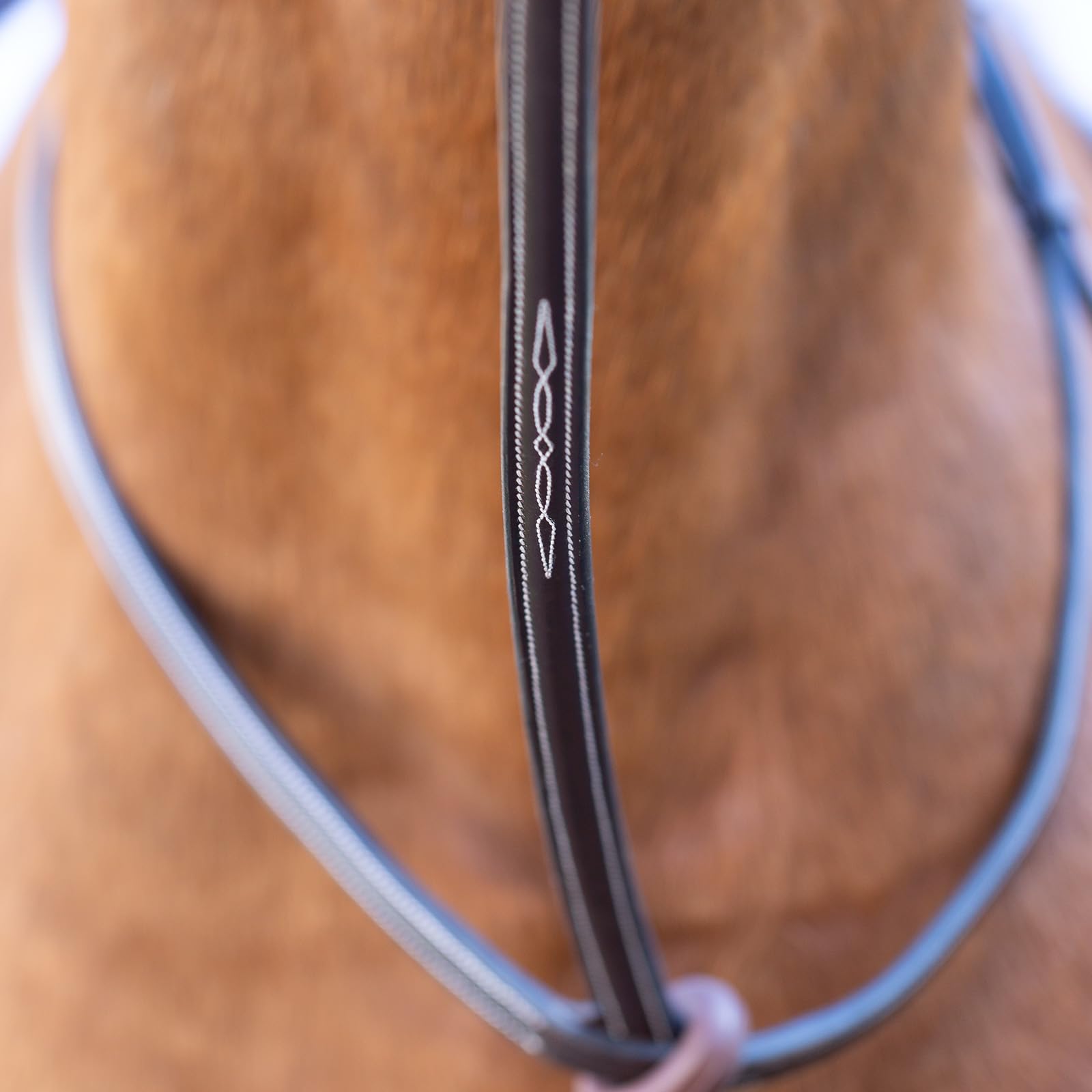 Equinavia Saga Martingala de pie ajustable de cuero con herrajes de acero inoxidable - marrón chocolate - caballo