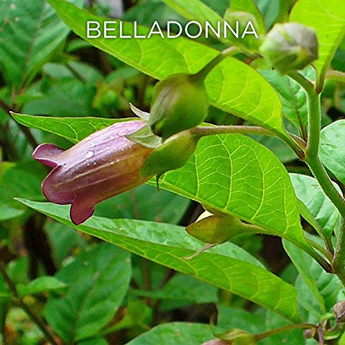 Similasan Complete Eye Relief Eye Drops 0.33 Ounce Bottle, For Temporary Relief From Dry/Burning /Watery /Red Eyes #TOP6