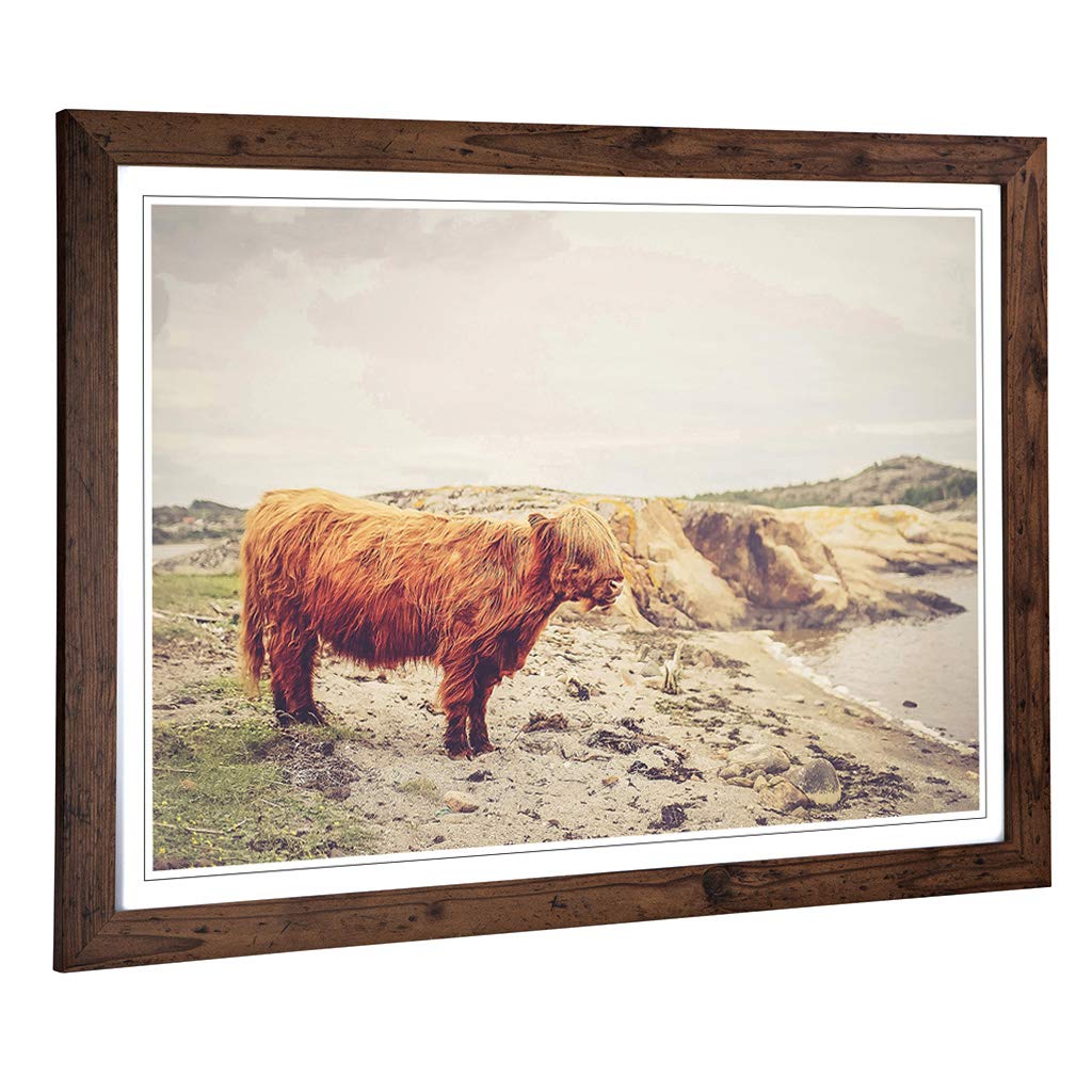 Big Box Art Framed Print of Highland Cow Landscape Design | Wall Art Picture | Home Decor for Kitchen, Living, Dining Room, Lounge, Bedroom, Hallway, Office, Walnut, A2 / 24.5x18 Inch / 62x45cm