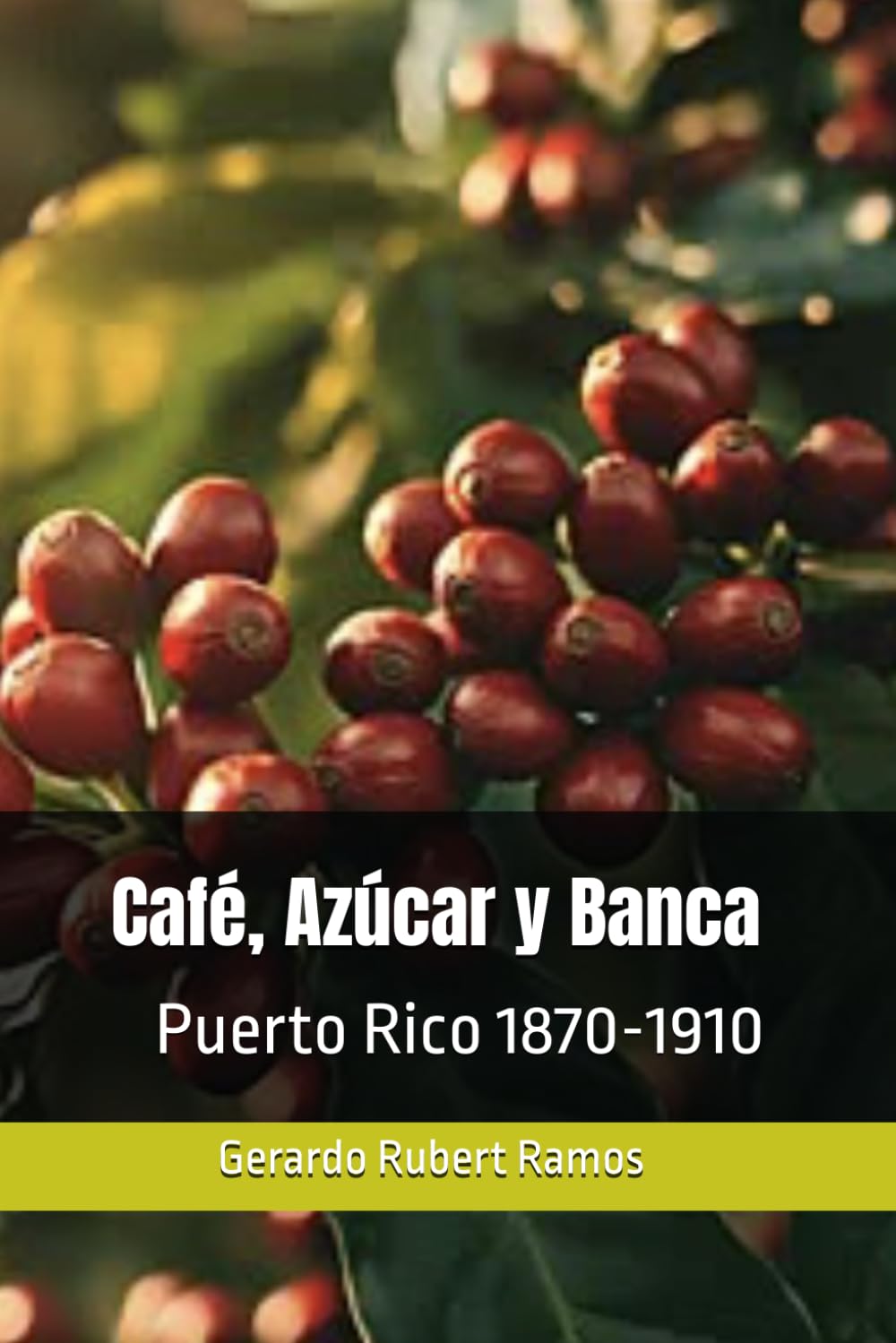 Café, Azúcar y Banca: Puerto Rico 1870-1910 (Relatos de la Provincia)