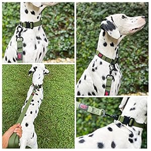 Tuff Pupper Waterproof Action Collar for Dogs | Heavy Duty Water Proof Dog Collar | Tear Proof & Odor Free | Rust-Proof Metal Hardware | Tactical Quick Release Buckle | for Adventurous, Active Dogs