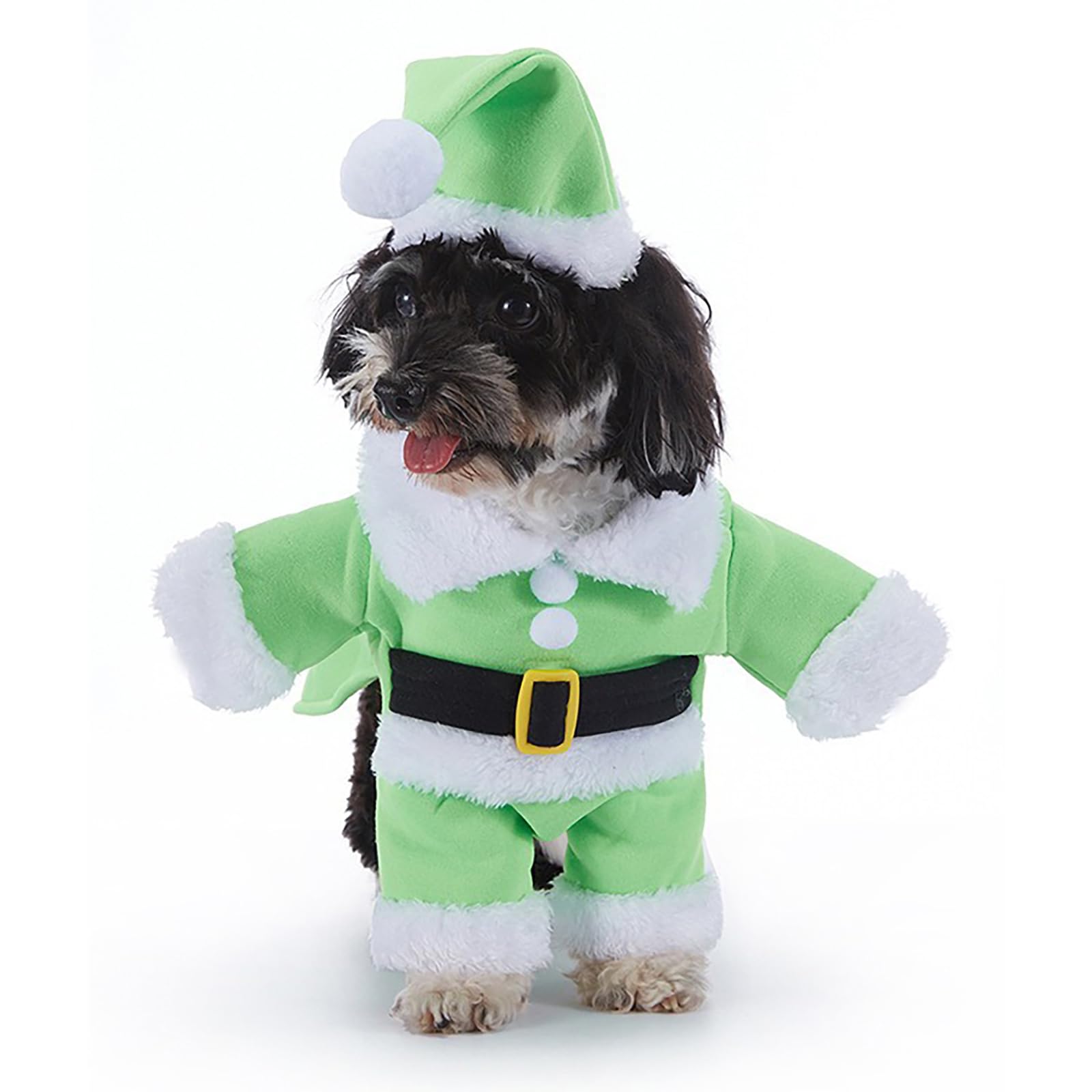 Costume de Père Noël pour chat et petit chien pour des photos de famille magiques