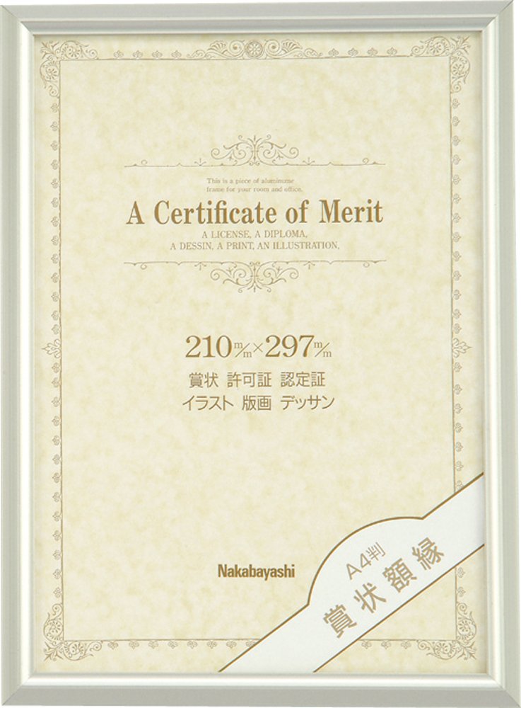 Nakabayashi Fu-KA-13-S Aluminum Award Frame A4 Size : Amazon.sg: Home