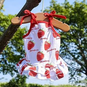 Harkaji Pet Clothes,Lovely Summer Fruit Dog T-Shirt Puppy Clothes Dog Skirt Dress Cats Clothes for Small Dogs Cats Puppy (S, Strawberry Skirt) Harkaji Pet ClothesLovely Summer Fruit Dog T Shirt Puppy Clothes Dog Skirt Dress Cats Clothes for Small Dogs Cats Puppy S Strawberry Skirt