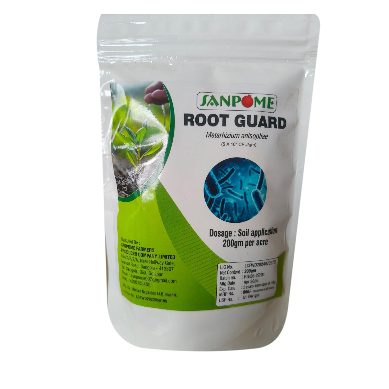 Root Guard-image-24