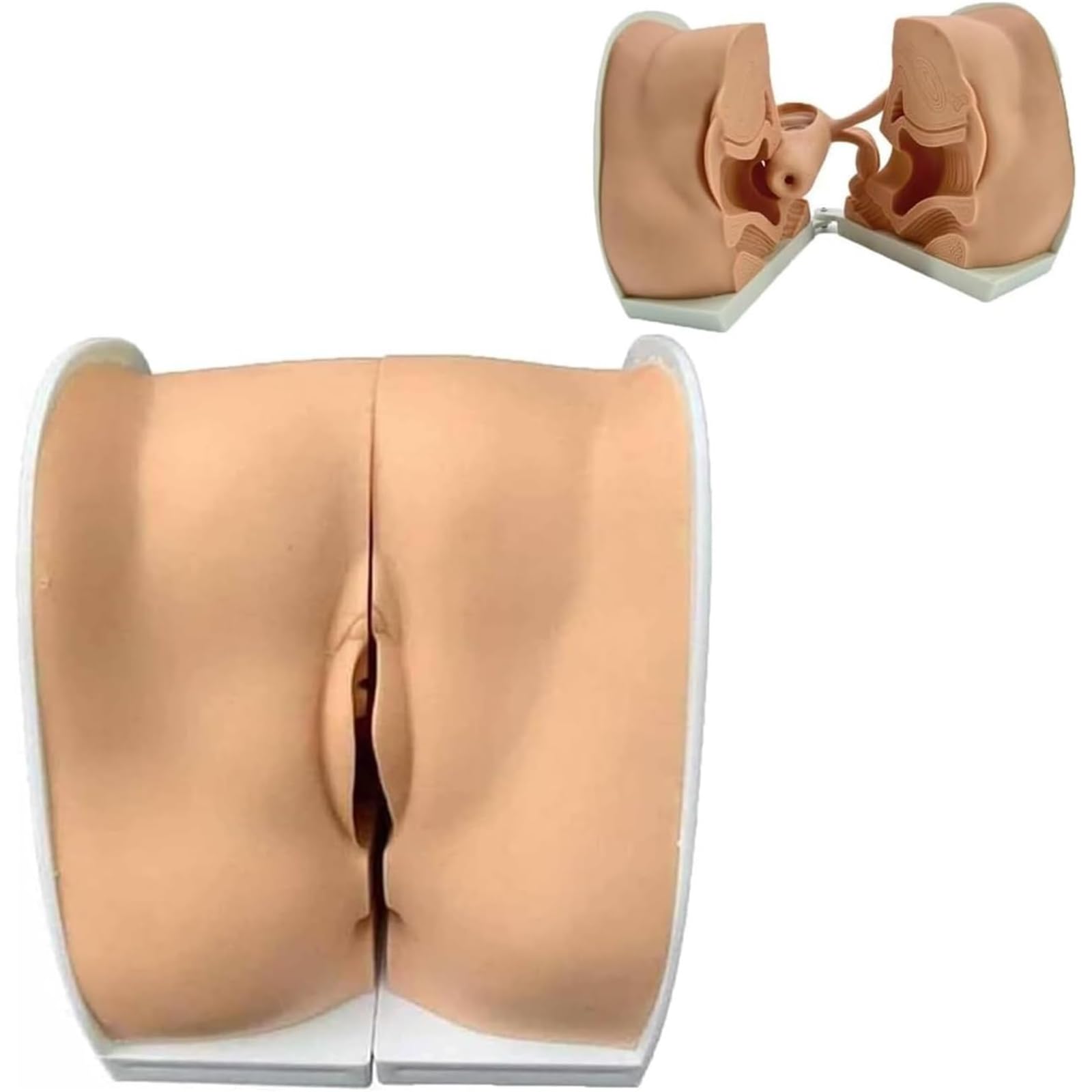 Manichino ginecologico Femminile, Modello anatomico dei genitali Femminili, Modello Guida alla contraccezione Femminile a grandezza Naturale per l'insegnamento