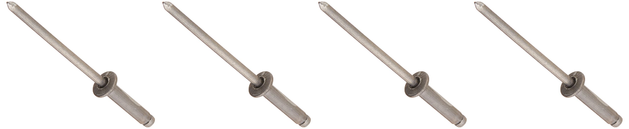 Amazon.com: Ridgid 59112 Rivet, Pop 5/32 : Patio, Lawn & Garden