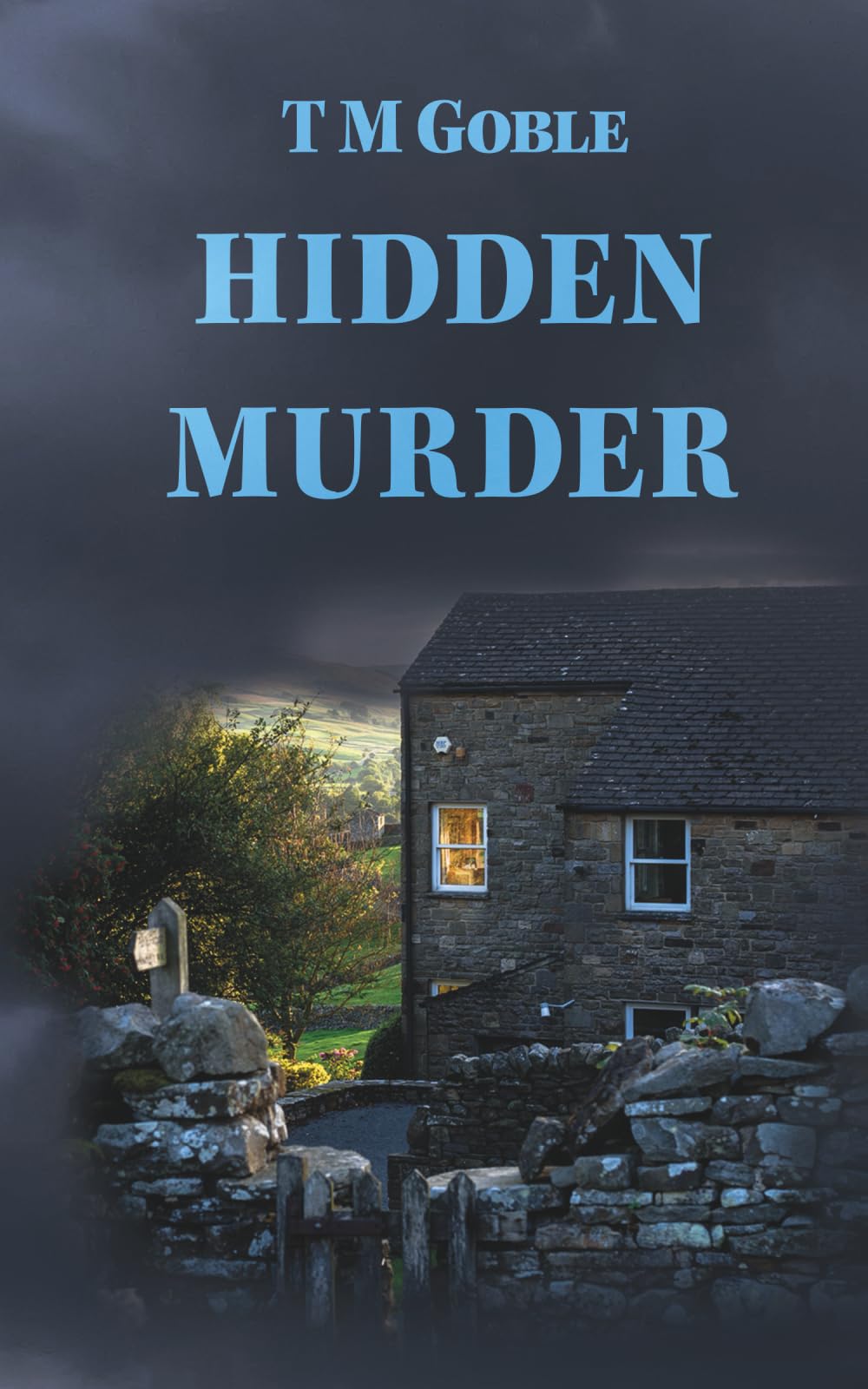 A Hidden Murder (Murder Mysteries)
