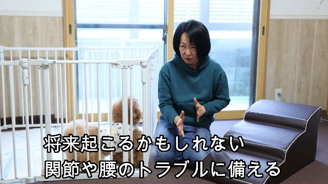 Amazon | Homey パピー&介護用ステップ 3段 | PetPro | ステップ 通販