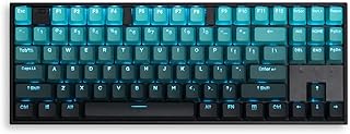 mintcaps PBT Doubleshot Keycaps Gradient Cyan Backlit OEM Profile Keycaps Full Set 123 Keys Custom Keyboard Keycaps for 60% 65% 75% 100% Cherry Gateron MX Switches Mechanical Keyboard