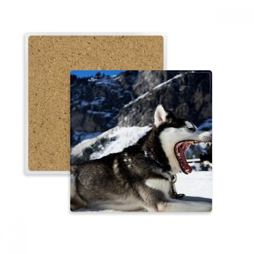 Eviter taches table sous-verre husky en pierre absorbante