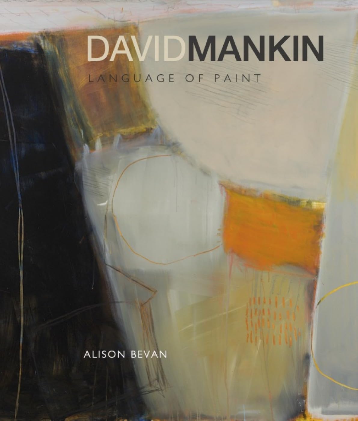 David Mankin Language of Paint Livre d'Art Monographie 232 Pages