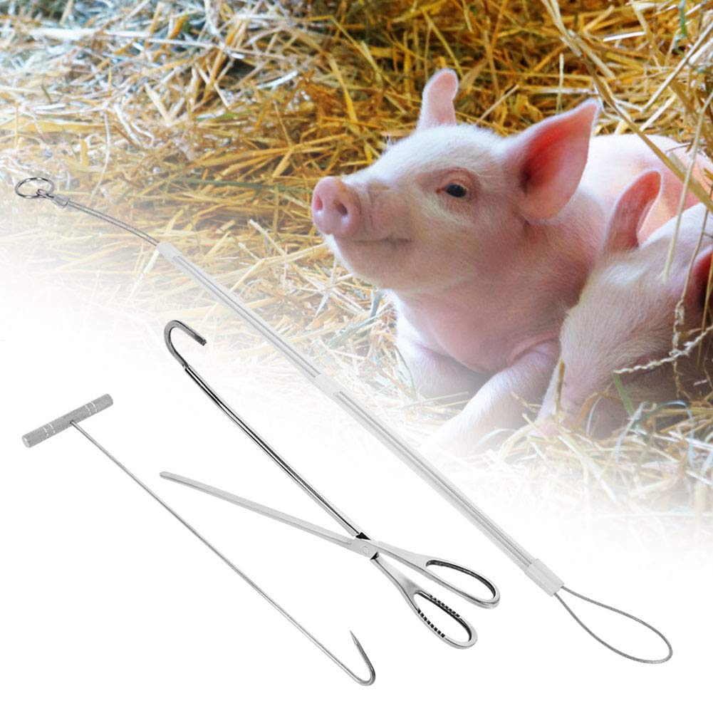 Gancio per ostetricia veterinaria in Acciaio Inossidabile Gancio a Pinza Attrezzatura per Allevamento di suini Strumento per Bestiame
