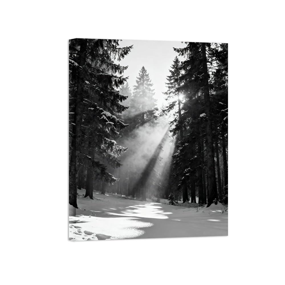 Black White Landscape Wall Art. Winter Forest. Picture 70x90cm Unframed