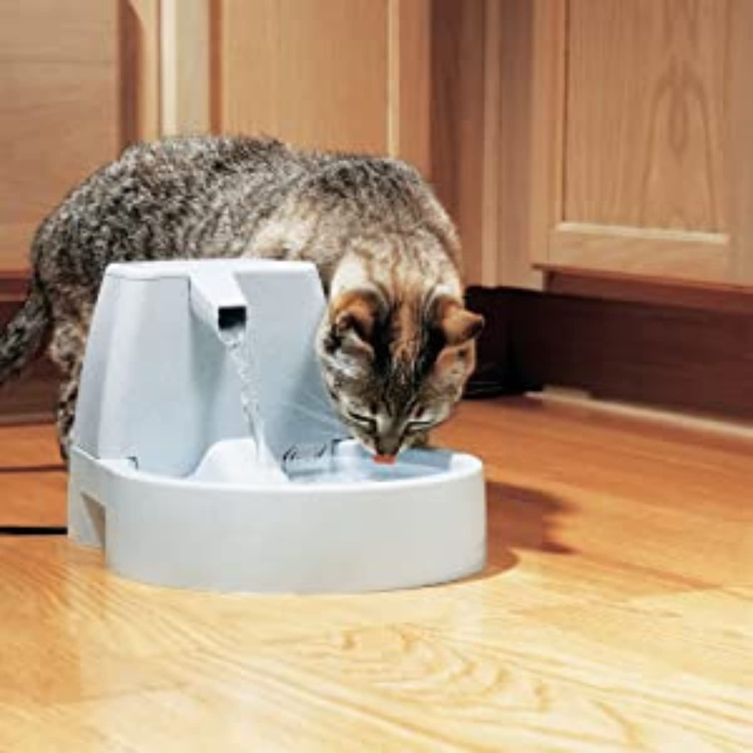 PetSafe Drinkwell Pompe de Remplacement pour Fontaines pour Animaux Platinum Original