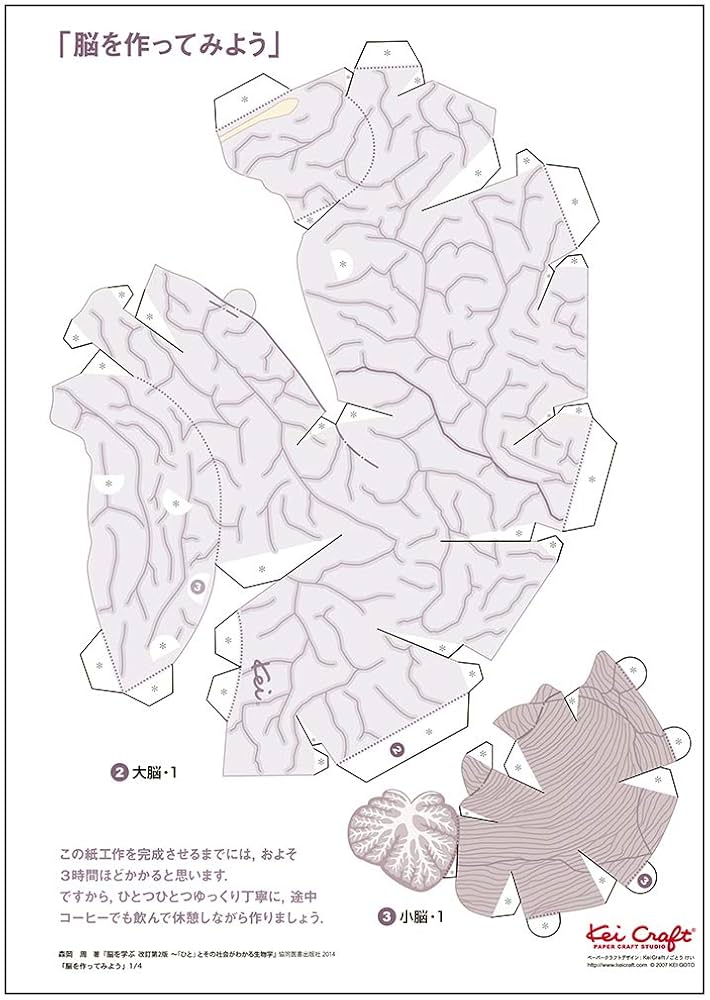 生物学・脳科学　関連書 脳を学ぶ-「ひと」とその社会がわかる生物学 | 森岡 周, ごとう
