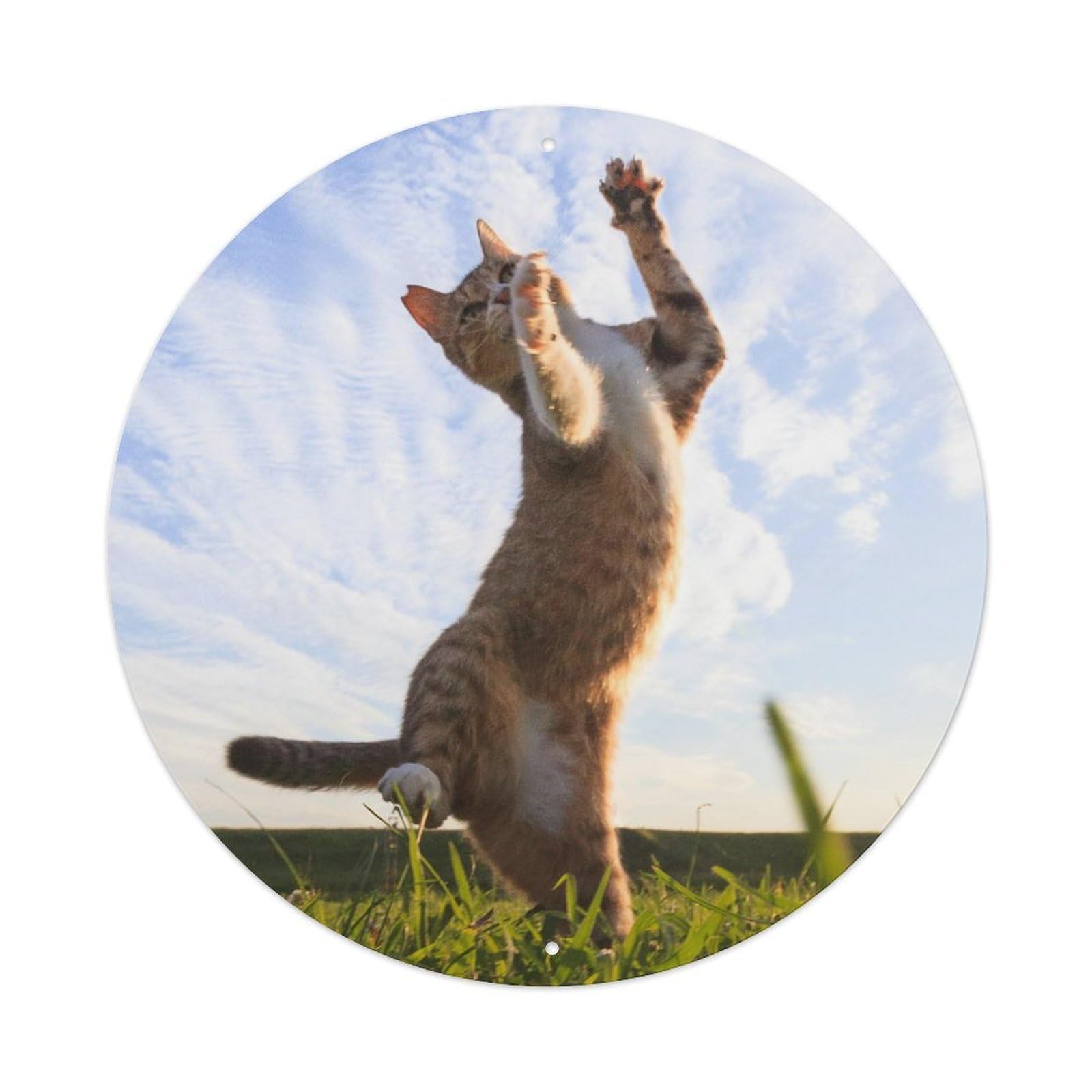 Animal Dancing Cat Metal Tin Sign