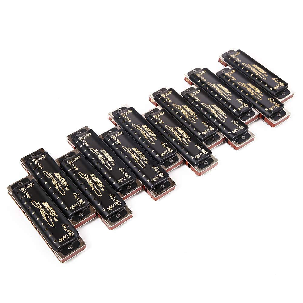 Harmonica - Juego de 12 armónicas diatónicas profesionales 008K 10 agujeros 20 tonos armónica para jugadores profesionales, principiantes, estudiantes, niños con bolsa de regalo negra (12 llaves)