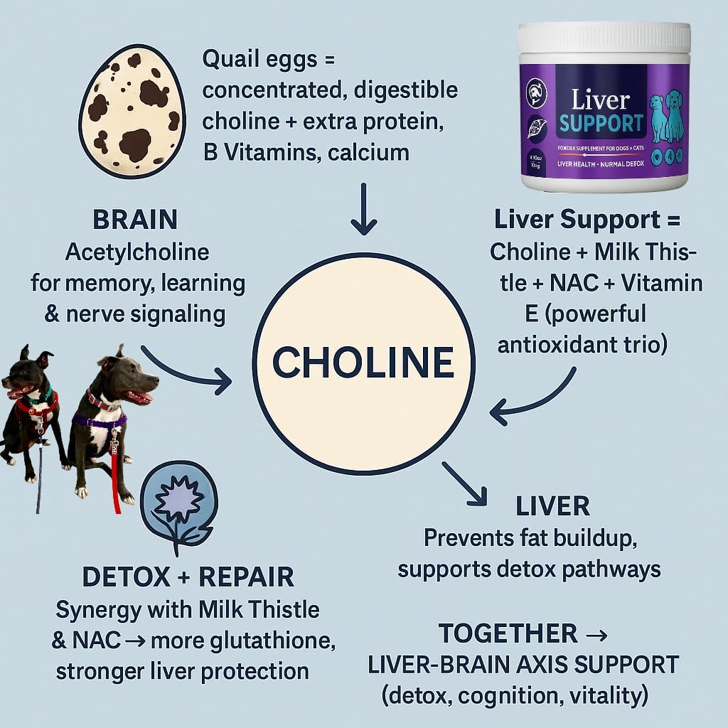 Liver Support – Detox & Immunity Booster for Dogs & Cats | Natural Milk Thistle, NAC, Dandelion, Antioxidant Supplement | 6.35 oz