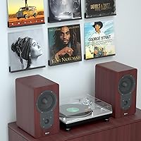 Vista 6 de NIUBEE Soporte de pared de acrílico para discos de vinilo (montaje perforado, negro)