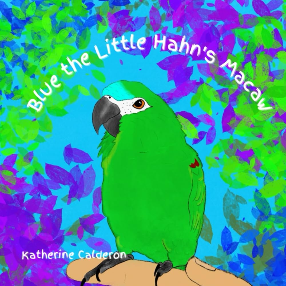 Blue The Little Hahn’s Macaw