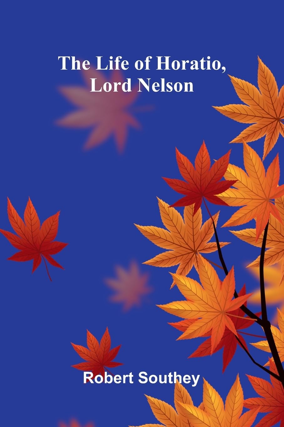 The Morning of Spiritual Youth Improved, in the Prospect of Old Age and Its Infirmities Being a Literal and Spiritual Paraphrase on the Twelfth ... In a Series of Letters. (Edition1)