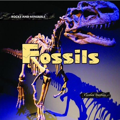 Fossils (Rocks and Minerals) Library Binding – January 16, 2007