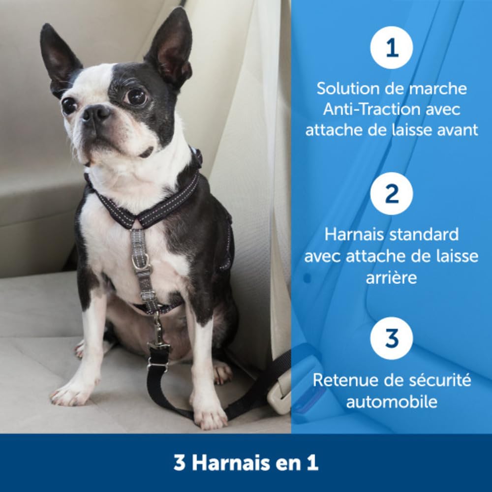 PetSafe Harnais 3-en-1 pour Chien - Ceinture de Sécurité pour Voiture - Anti-Traction – Confortable, Coutures Réfléchissantes – Noir, L