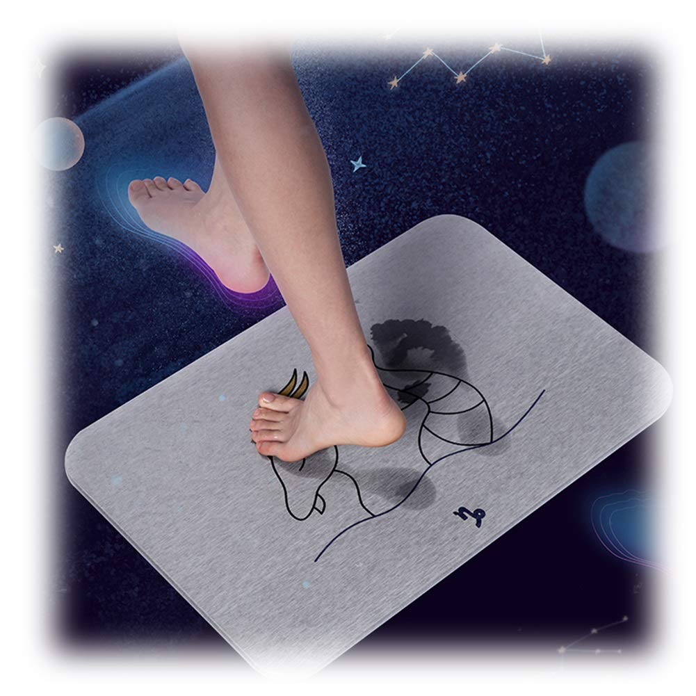 Diatomeas Almohadilla De Pie Almohadilla Absorbente Baño Alfombra Antideslizante Baño Baño Puerta Secado Rápido Absorber Agua Alfombra Uso Doméstico (Color : D)
