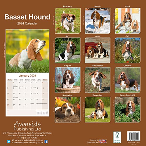 Basset Hound Calendar 2024 - Image 2