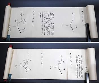 Amazon.co.jp: 売切り屋遠州公御流儀挿花初傳 巻物 通仙庵一篤