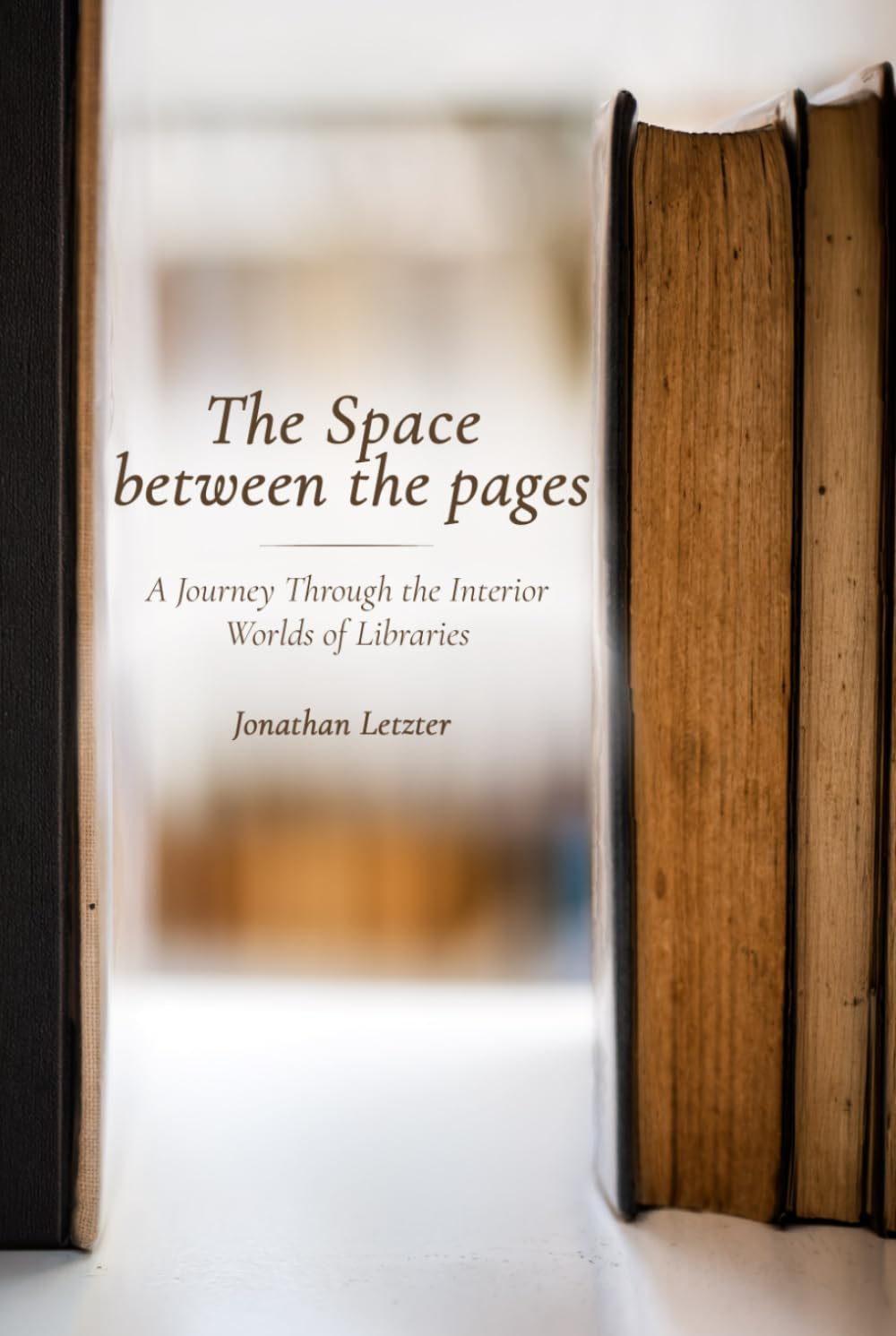 The Space Between the Pages: A Journey Through the Interior Worlds of Libraries