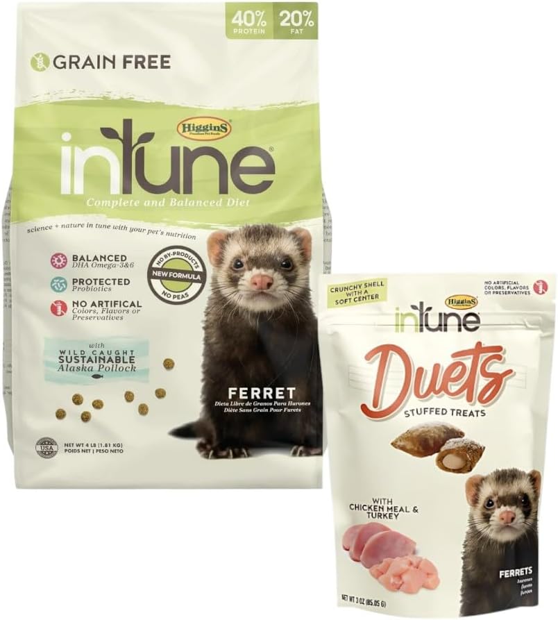 Higgins Intune Ferret Food & Treat Bundle Intune Ferret Diet 4lbs & Intune Duets Ferret Treats (Chicken Meal/Turkey) 3.04oz