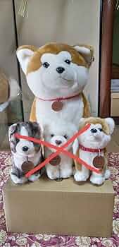 秋田犬マサル　ぬいぐるみ　特大 61q6fMxBPML._AC_UF350,