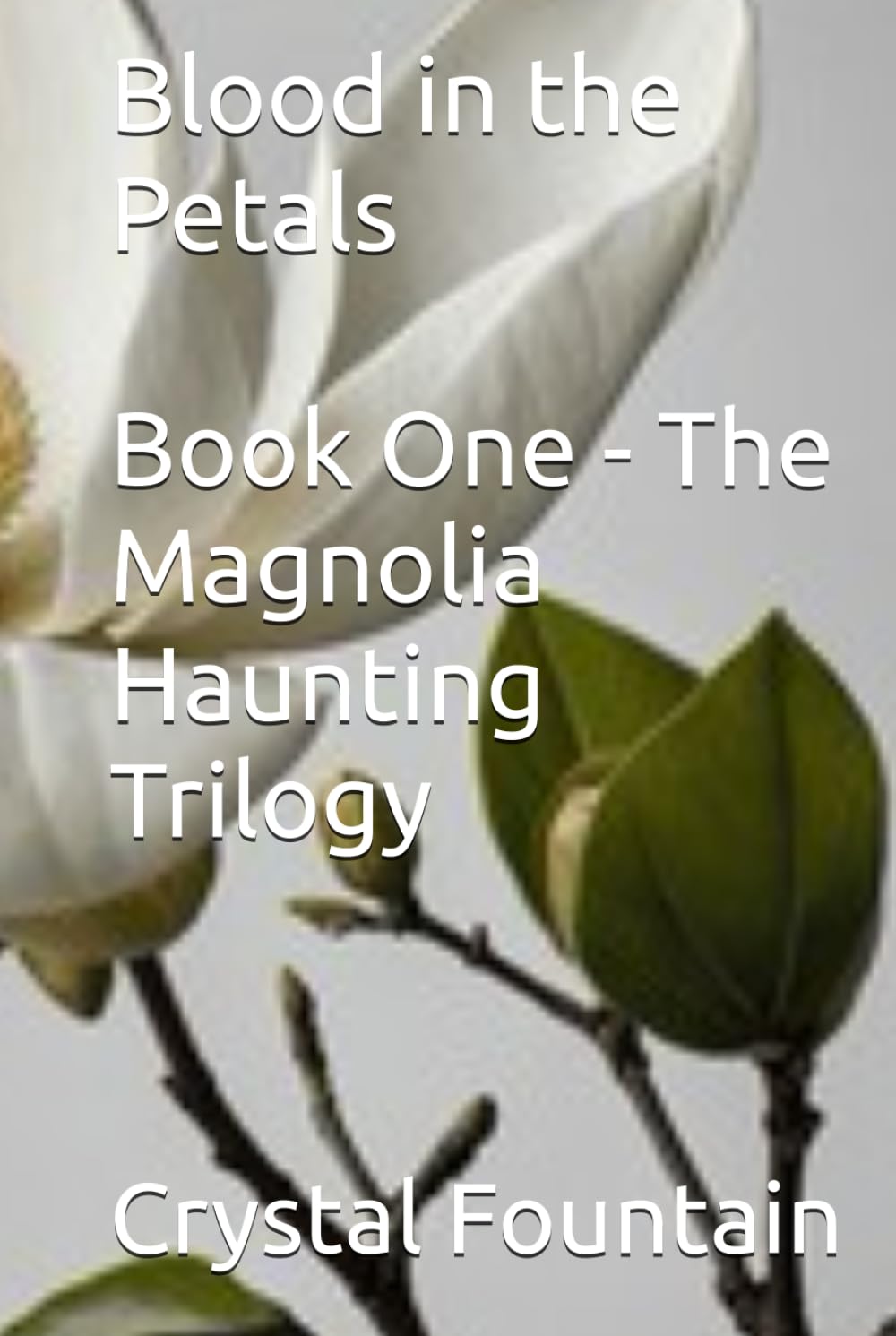 Blood in the Petals (The Magnolia Haunting Trilogy)