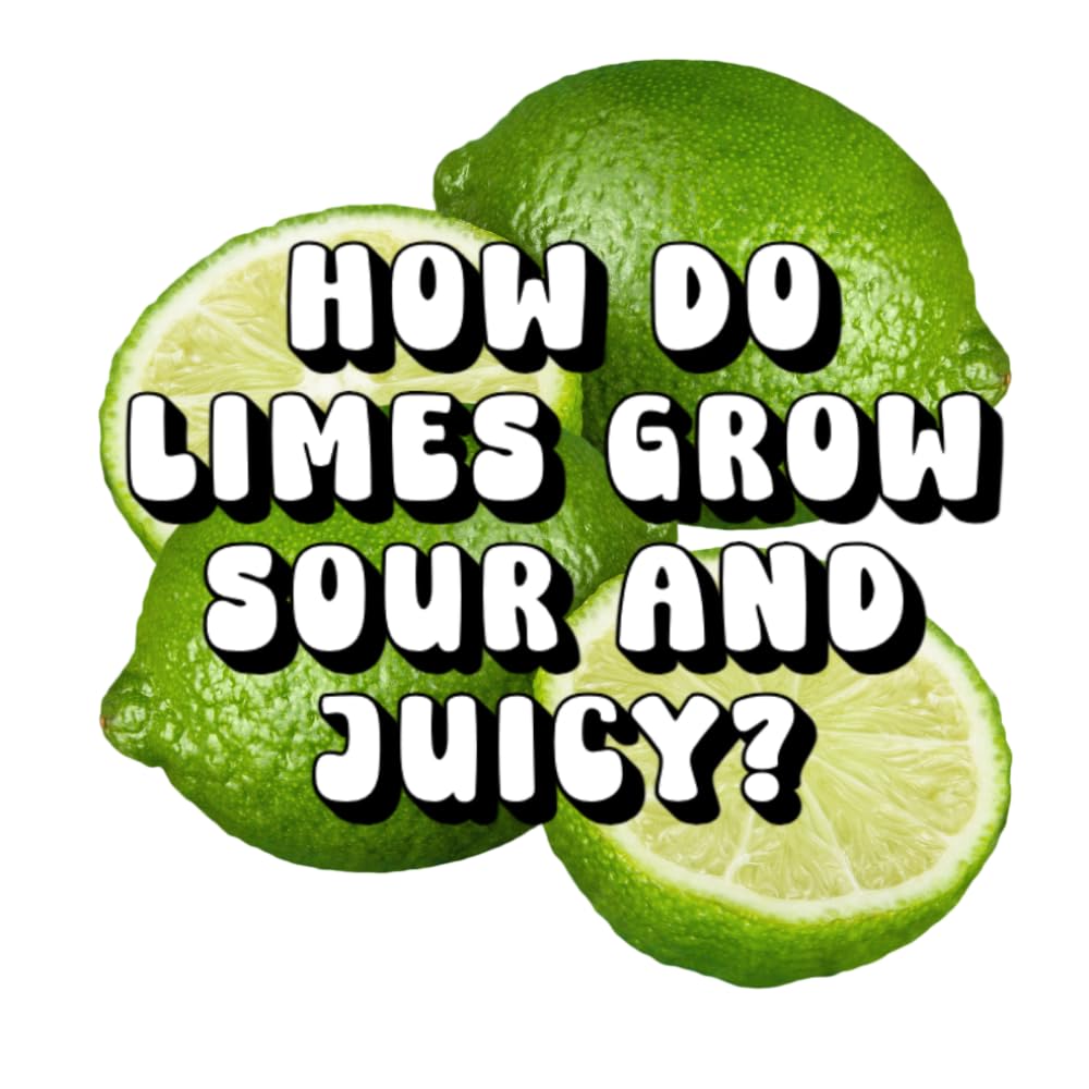 How Do Limes Grow Sour and Juicy?