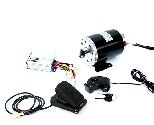Miniatura 1 de L-faster 36 V48 V 750 W Kit de conversión de motocicleta eléctrica MY1020 UNITEMOTOR imán permanente cepillado DC Motor motor eléctrico scooter
