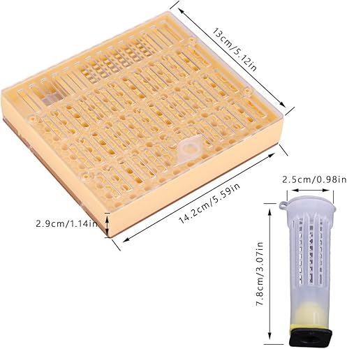 Miniatura 6 de ViaGasaFamido Kit de copa de crianza de apicultura, kit de cría de abejas, juego de caja de apicultura, caja de recogedor, herramienta de cultivo de