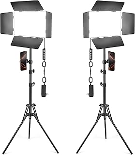 Icceue - Juego de 2 luces LED de video con puerta de granero, panel de luz de fotografía de 30 W con soporte, 3000Lux 2500K-8500K luces de estudio regulables para grabación de video/filmación/sesión