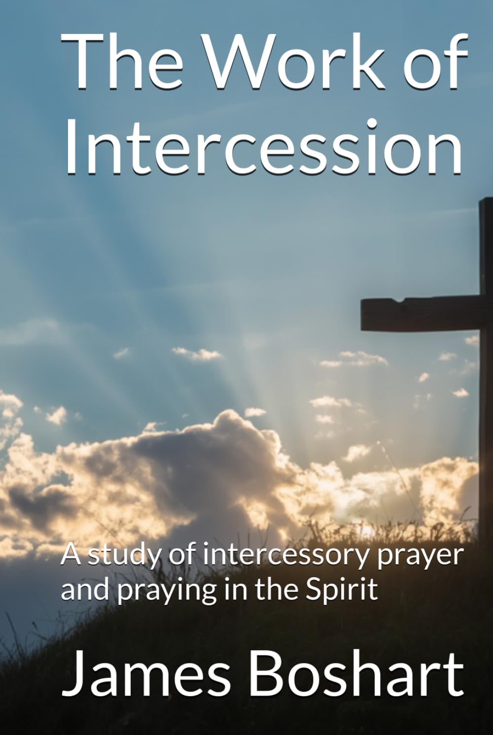 The Work of Intercession: A study of intercessory prayer and praying in the Spirit