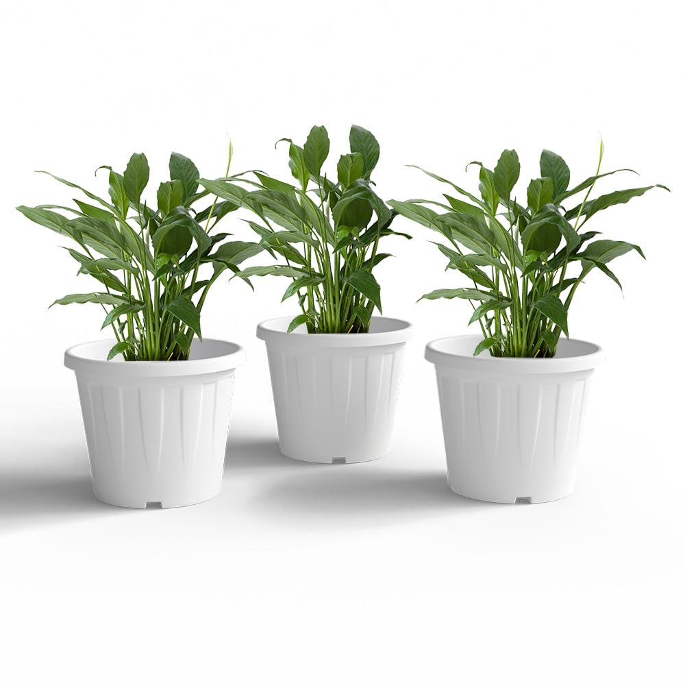 YUCCABE ITALIA 6 Pack White Nursery Planters -7
