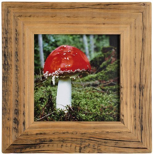 Mein Landhaus Bilderrahmen aus echtem Alt-Holz Stil Vintage, rustikal - handgefertigte Unikate in dunkel-braun 13X18 Cover