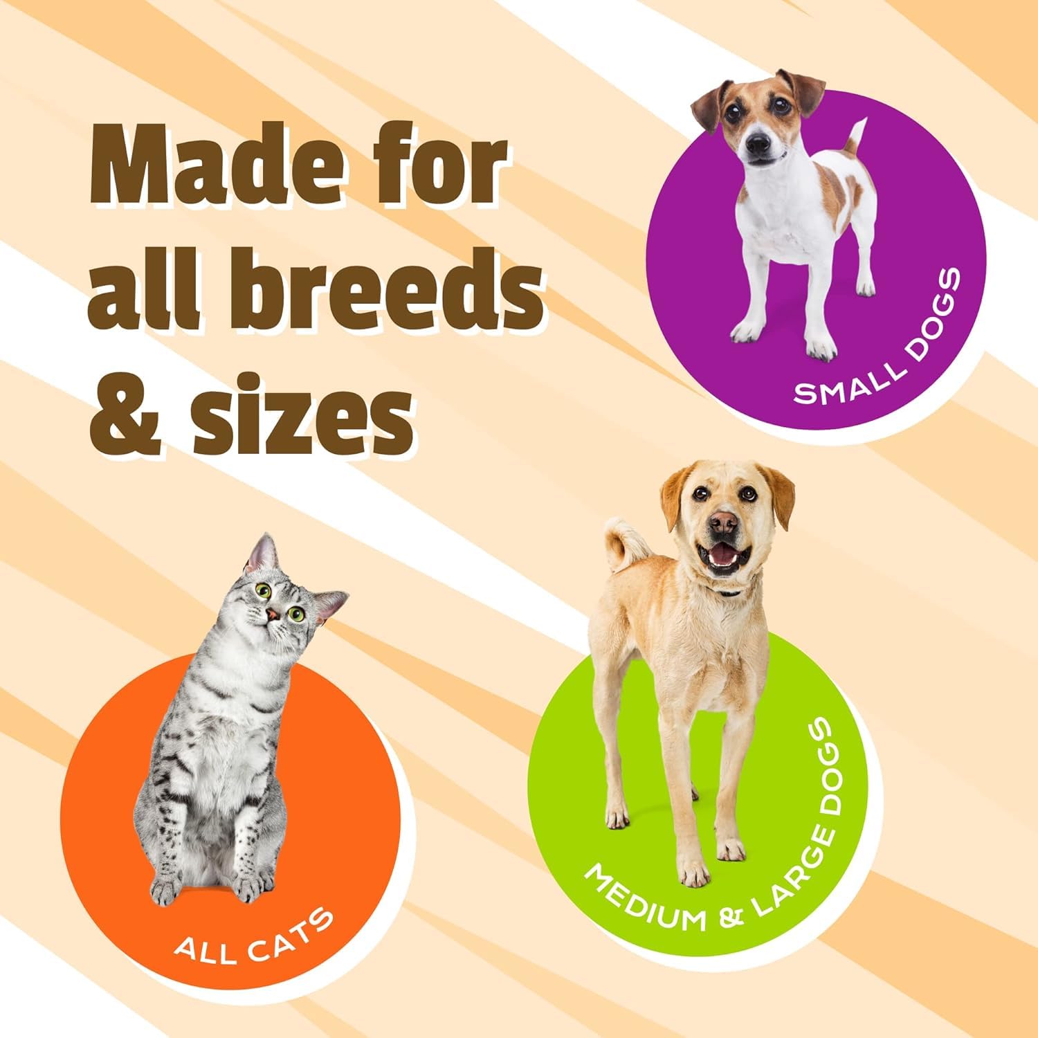 Pet Naturals Suplement bioder i stawów z glukozaminą, chondroityną i MSM dla psów i kotów, smak kaczki, 160 gryzaków